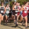 #45 Crystal Reed, #24 Kathy Kroeger, and #43 Megan O'Reilly.