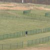 Dathan Ritzenhein runs on the maze-like Indiana State course.