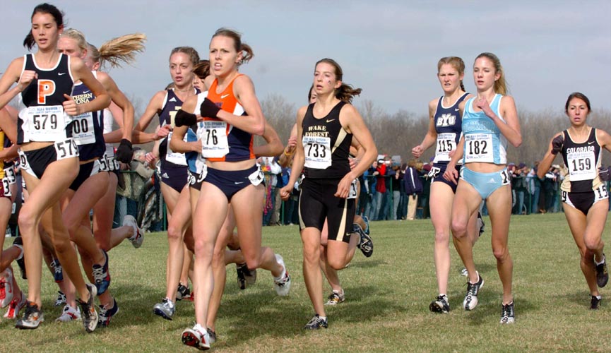 L-R: Cack Ferrell, Stephanie Madia, Angela Homan, Annie Bersagel, Chelsea McKell, Caroline Bierbaum, and Christine Bolf.