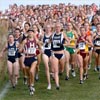 Unlike many of the recent NCAA cross country meets, there was no strong favorite in the women's race this time around.