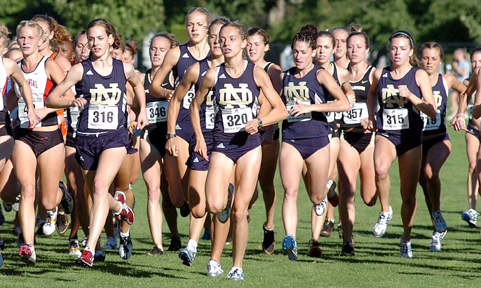 Huddle and Madia are both seniors at Notre Dame.