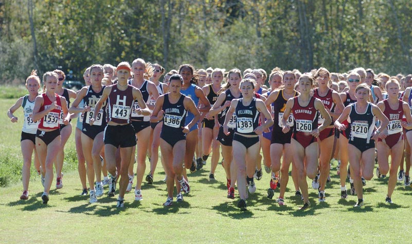 A still-very-large group leads the race.