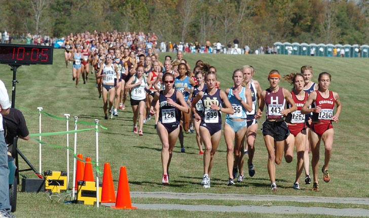 L-R up front: Victoria Mitchell, Stephanie Madia, Caroline Bierbaum, Lindsey Scherf, Teresa McWalters, and Arianna Lambie.