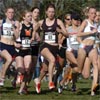 R-L: Shalane Flanagan, Amy Mortimer, Missy Buttry, Heather Sagan Zealand, #55 Carrie Messner, and #214 Sabrina Monro.