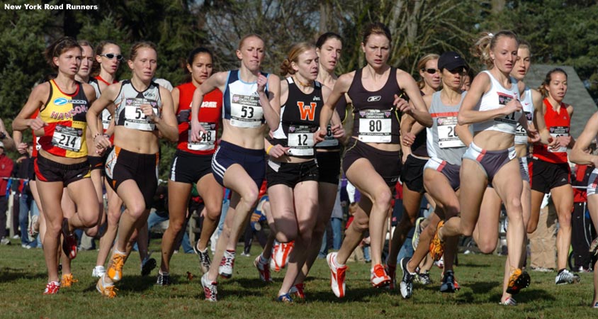 R-L: Shalane Flanagan, Amy Mortimer, Missy Buttry, Heather Sagan Zealand, #55 Carrie Messner, and #214 Sabrina Monro.