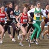 #85 Wendi Robinson, #84 McKayla Plank, #46 Erin Bedell, #83 Alicia Pabich, #86 Lauren Saylor, and #70 Ashley Benson.