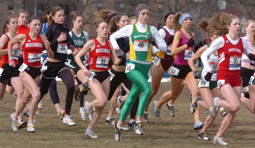 #85 Wendi Robinson, #84 McKayla Plank, #46 Erin Bedell, #83 Alicia Pabich, #86 Lauren Saylor, and #70 Ashley Benson.