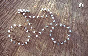 Serenelli's Bicycle Fantasy Photo