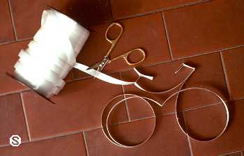 Serenelli's Bicycle Fantasy Photo