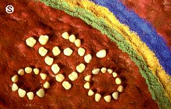 Serenelli's Bicycle Fantasy Photo