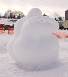 Winter Festival Photos