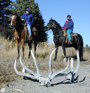 Horse Riding Photos