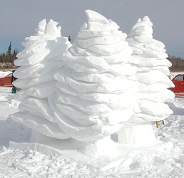 Winter Festival Photos